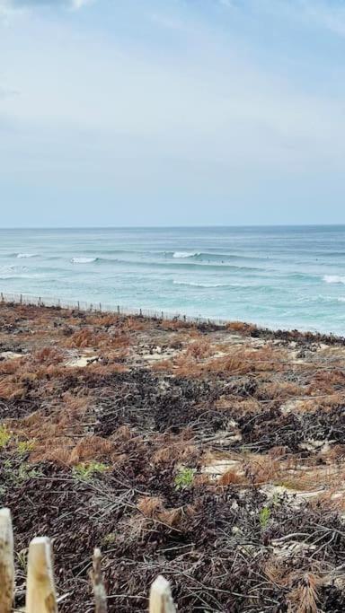 Appartement 2 A 4 Personnes A 50M De La Plage Lacanau Εξωτερικό φωτογραφία